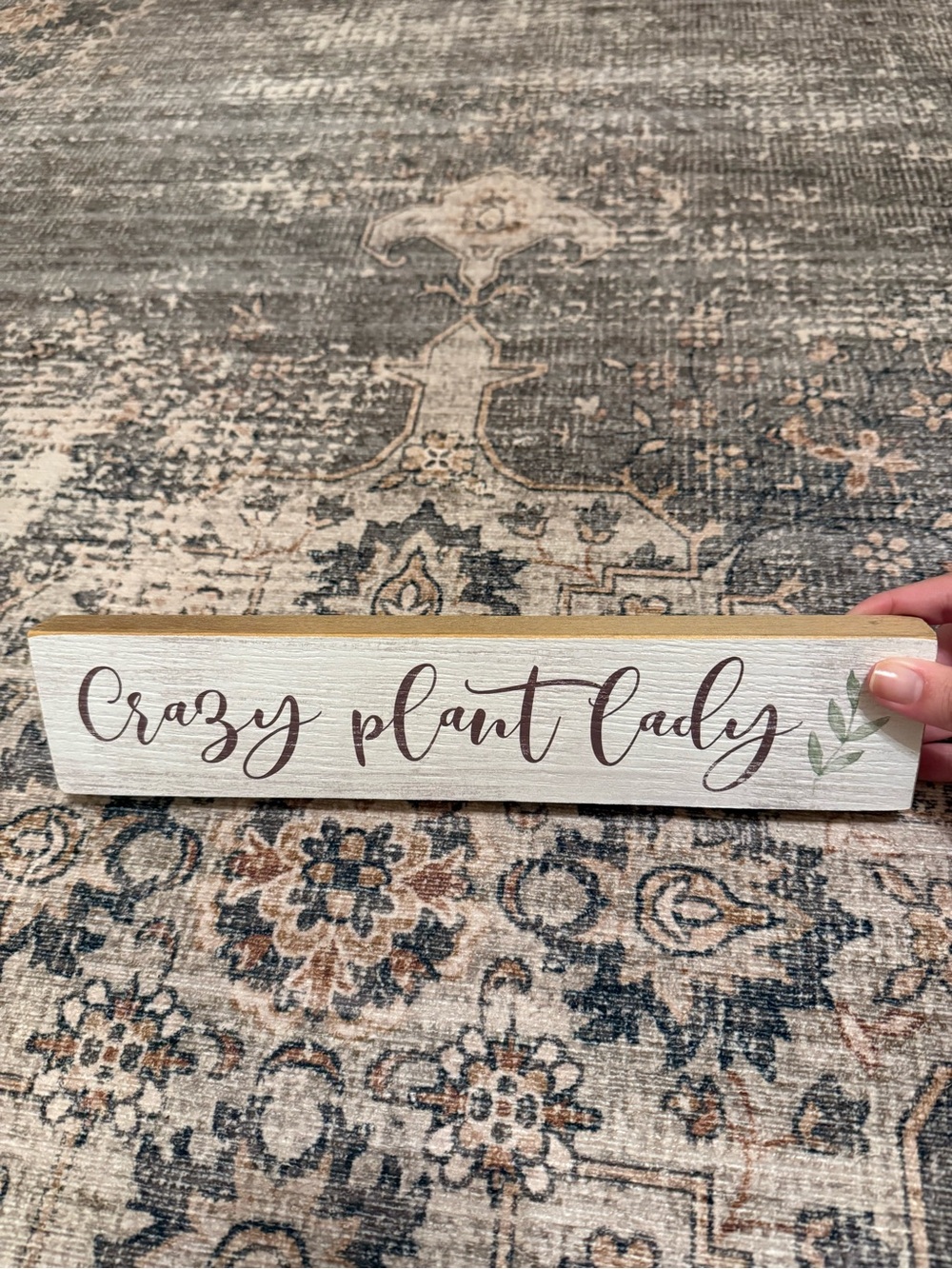 Crazy Plant Lady Decorative Wood Sign